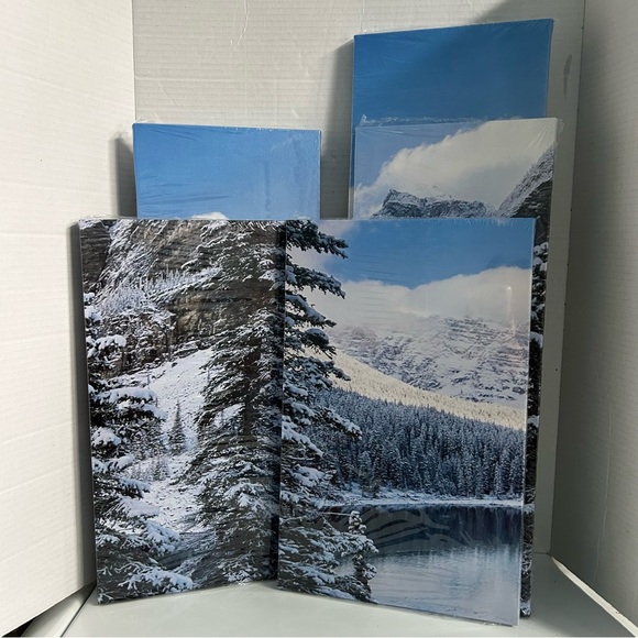 5 piece Wall Art painting decor on canvas - SNOW LAKE - Picture 4 of 10